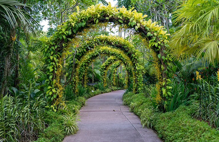 33.Botanical Gardens Project in Saudi Arabia