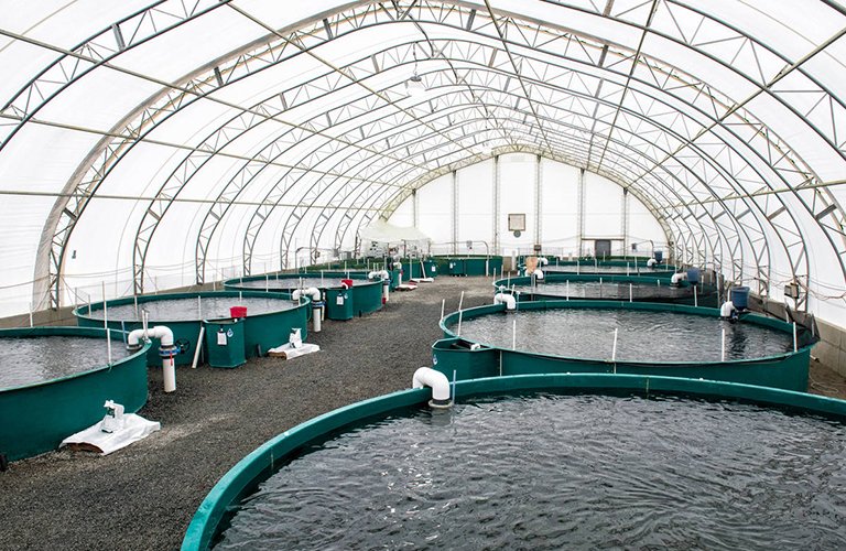Fish farm construction project