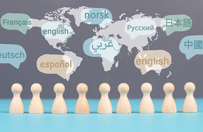 103. Developing a specialized language academy