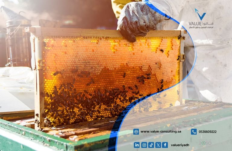مزرعة لإنتاج العسل الطبيعي بأنواع فريدة (مثل عسل السدر الفاخر)