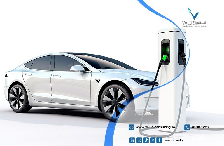 Feasibility Study for an Electric Car Rental Project