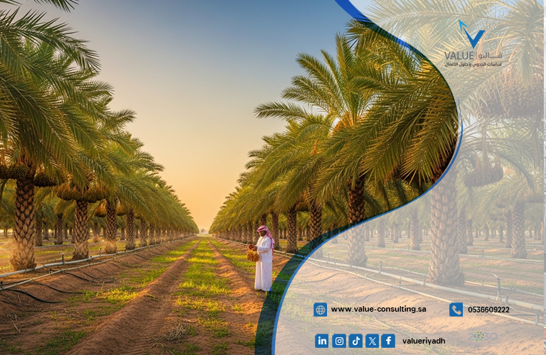 دراسة جدوى مزرعة نخيل في القصيم