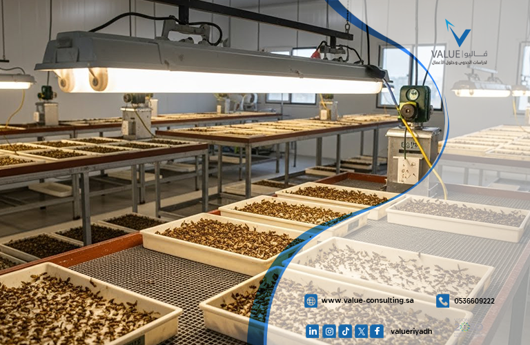 دراسة جدوى مزرعة تربية حشرات نافعة