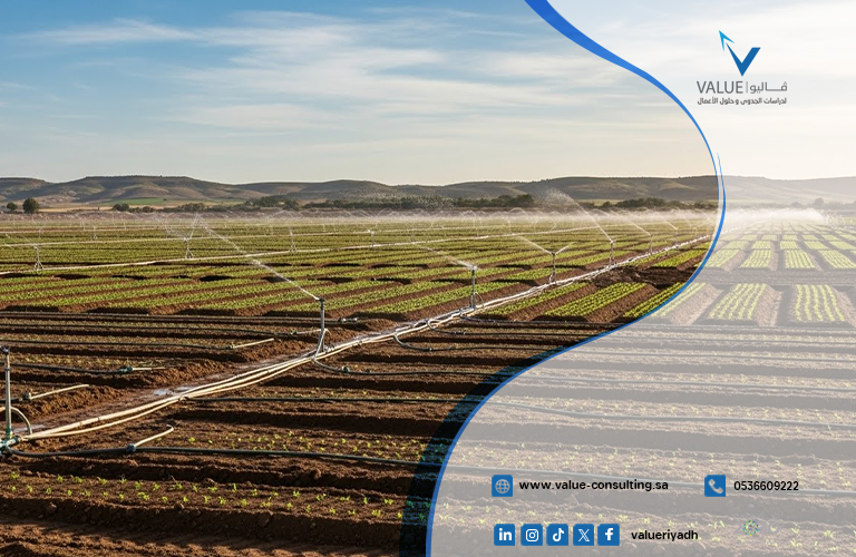 دراسة جدوى مشروع إنتاج بذور زراعية محلية