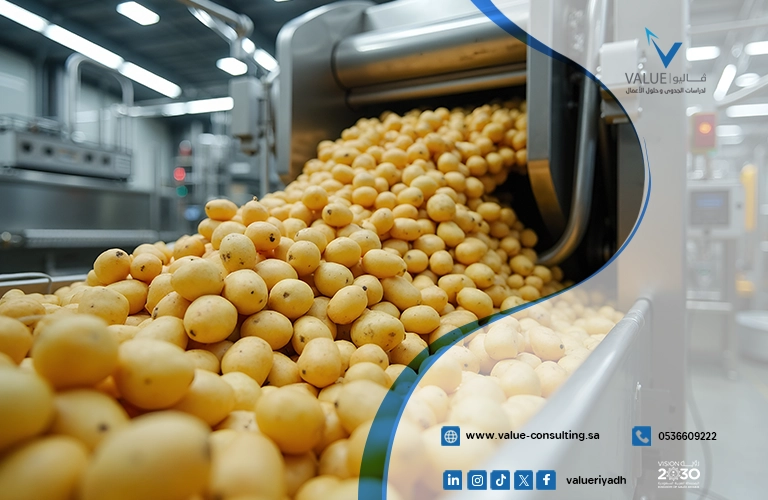 دراسة جدوى مصنع منتجات البطاطس